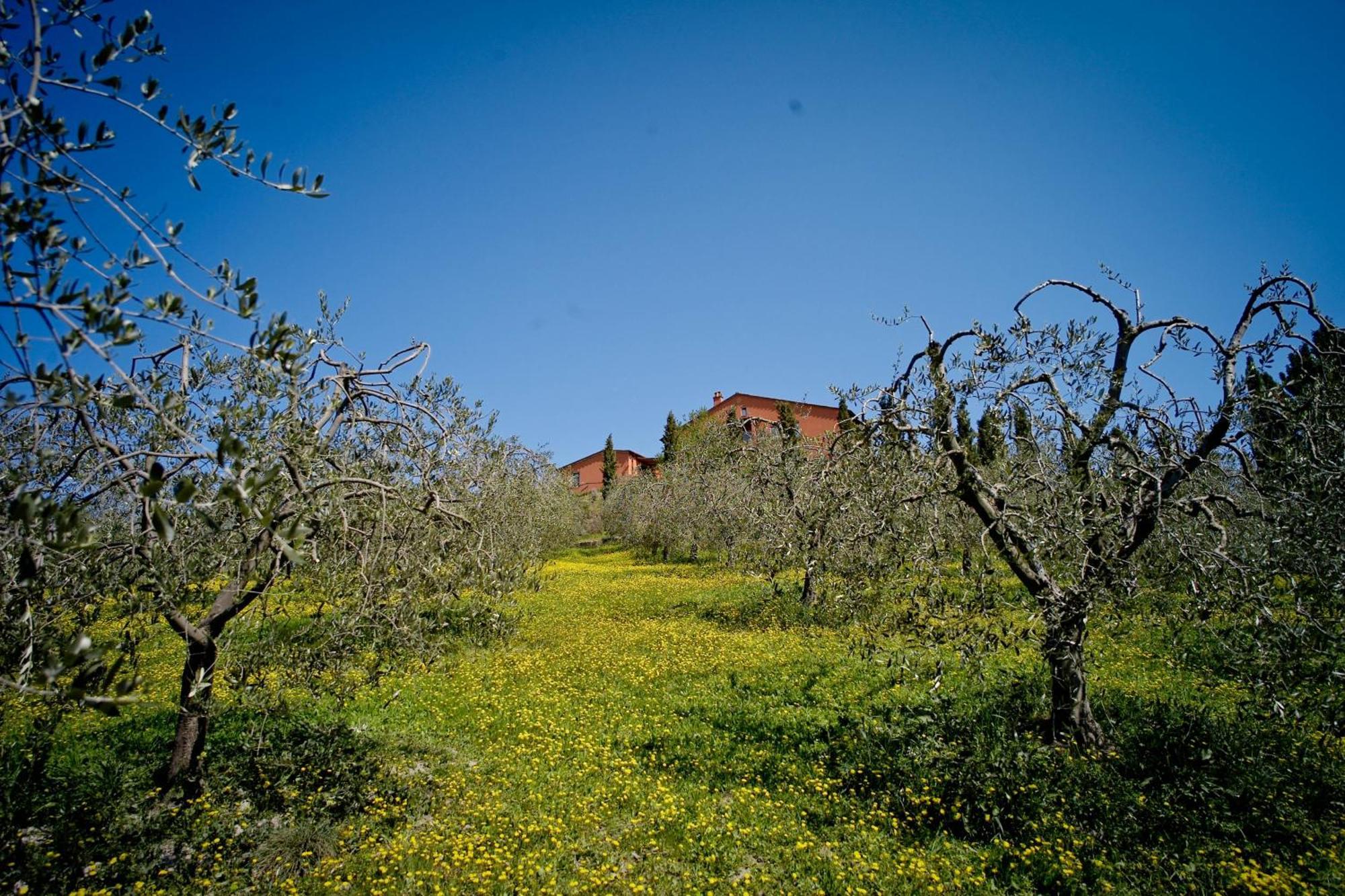 Podere Benintendi Certaldo Exterior foto